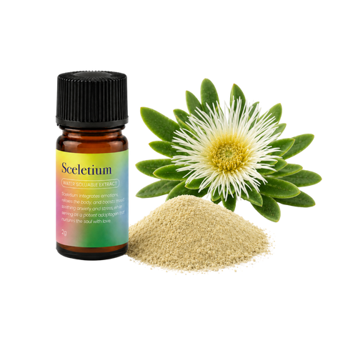 Sceletium Extract