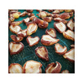 How-pears-dry.jpg